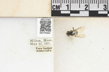Media type: image;   Entomology 770362 Aspect: Labels
